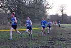 Fast pack leaders Richard Morrell, Ross Floyd (both Morpeth) and Oliver james (Sunderland Harriers) senior mens NEHL, Wallington Hall. Photo: David T. Hewitson/Sports for All Pics